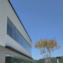 기장소방서(1) | 부산 기장 대형 베이커리 카페 탄티, 시원한 마운틴뷰 대형카페 가격 메뉴 및 솔직후기
