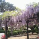 부석면사무소 이미지