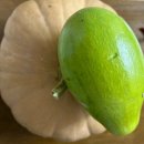 월야농협 한우마을 이미지