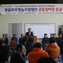 땅끝부추 이미지