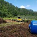 반야농장 이미지