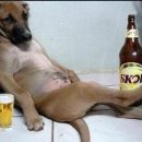 초은농장 이미지