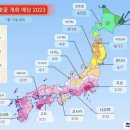 월문천1 | 2024 벚꽃 개화시기 추천 여행지 (국내/일본)