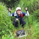 비를 피하니 땡빛이 기다리고! - 울산마루금 봉화산(117.5m)~선암봉산(179.6m)~용골산(208.7m) 및 대왕암 탐방 이미지