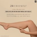논현신경과의원 | 알방망이 다리 탈출! 종아리알보톡스 효과 안전하게 시술받는 꿀팁