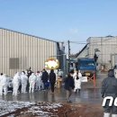 김산농장 이미지