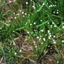 곡정초등학교 이미지