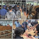 화순축산업협동조합(생축장) 이미지