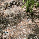 창원동산의원 이미지