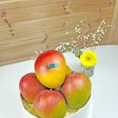 달빛과일 공도점 이미지