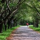 비비정예술열차 이미지