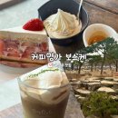 커피명가 - 안동시 관광단지로 346-52 | 경주 대형카페 추천! 아이들과 가볼만한 곳 커피명가 보스케 [내돈내산 후기]