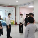 퀸 티브이데일리