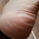 (주)우신라보타치 이미지