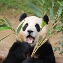 중국어 중급 | [공지] 🇨🇳HSKK 중급 합격 후기｜HSKK 중급 공부법·독학 꿀팁｜중국어 말하기 시험 준비 방법