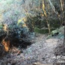 진가세소리 이미지