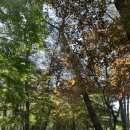 아라메길 (도비마루길) | 서산 2박 3일 여행 중 둘째 날(팔봉산 등산)