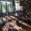 라틴문화예술 이미지