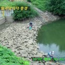 월곡낚시터 이미지