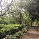 한라도니 이미지