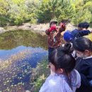 동산1리 이미지