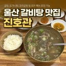 진호관 | 울산 시청근처 갈비탕 맛집 진호관 후기 가격