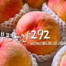 부평청과 - 부평구 경원대로 1432 | 부평청과