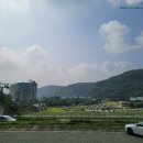 [경기도/광주] 화담숲 - 곤지암리조트 산책하기 좋은 곳, 수국축제(1)