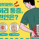 허리 아플때 등 허리 통증 원인 예방법 이미지