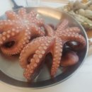 단델리온풀빌라 - 단양군 여울목3길 45 | 단델리온풀빌라