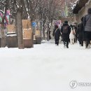 설국 - 강남구 남부순환로 2806 | 설국