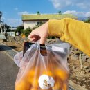 거문농장 이미지