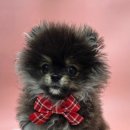 늘봄아로마테라피 이미지