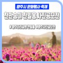 홍순일 | 경기도 양주 - 나리공원(천일홍축제) 다녀온후기