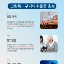 크린독 이미지