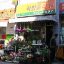 리빙플라워 이미지