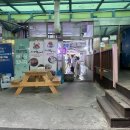 일번지청과
