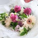 레몬파크장 이미지