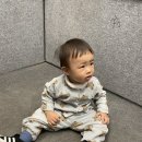 삼락당구장 네이버블로그