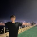 뽑ing | 일상, 잊을만하면 웨딩준비 (25' 6월 셋째주)