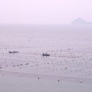 춘화민박 이미지