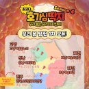 딱지