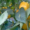 이재권농장 이미지