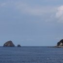 (주)울릉드림 이미지