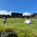 평대바당 민박 이미지