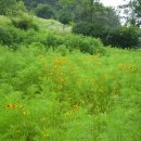 토월약수터 이미지