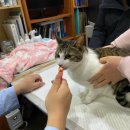 백제동물병원 이미지