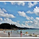 꾸지나무골해수욕장 이미지