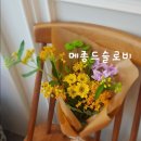메종드슬로비