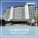 클린아일랜드 | 아일랜드 리솜 S25 클린형 오션뷰 솔직 숙박후기 태안 안면도리조트